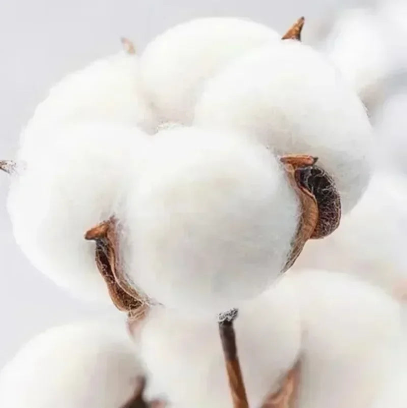 Benito Bowl Bad Bunny Super Bowl M8716 T-Shirt Unisex Puerto Rico Football Graphic Cotton O-Neck Short Sleeve Street Top